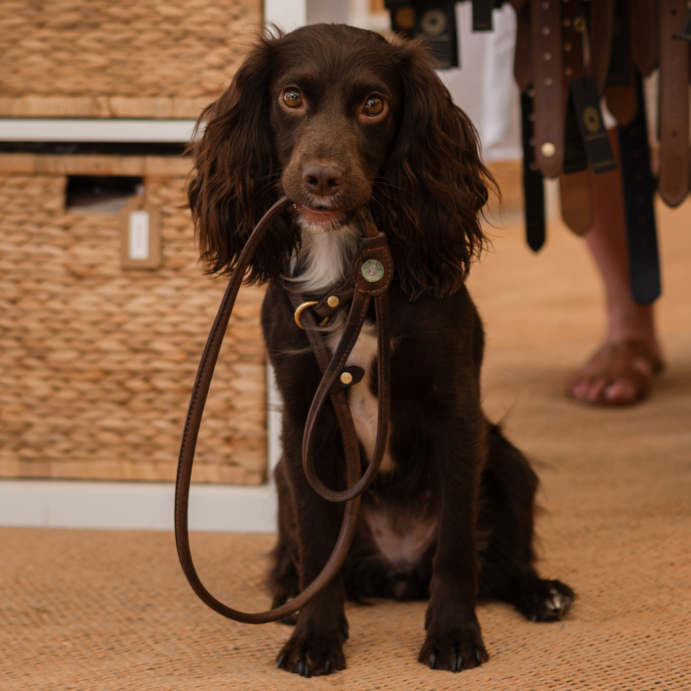 Leather Slip Lead