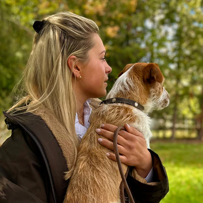 Mini Stanton Multi Farmer Dog Collar