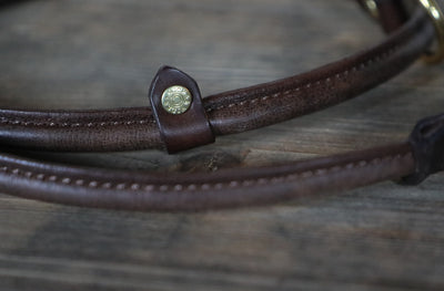 Leather Slip Lead