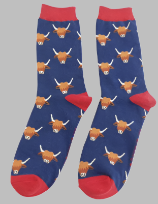 Mr Heron socks